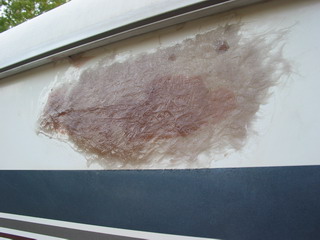 Fiberglass Applied