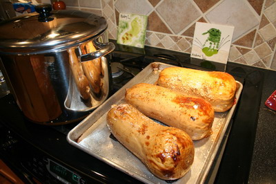 Butternut Squash Done