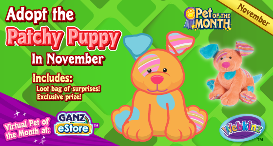 patchy_puppy_pet_of_the_month_november